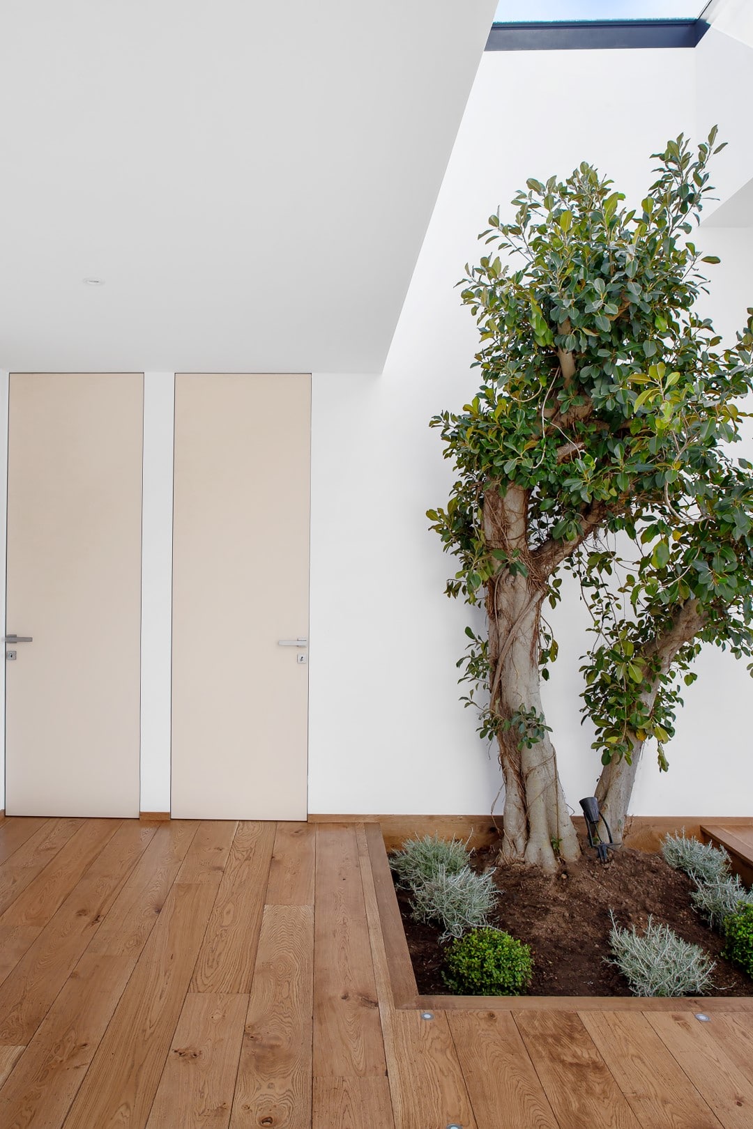 Photographie architecturale en corse